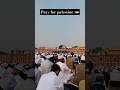 pray for palestine 🇵🇸#youtubeshorts #youtubevideo #tiktok #trending #viralvideo #viralshort #trendin