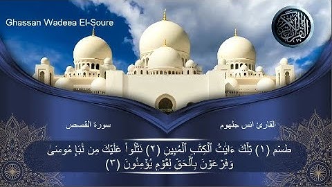 خشوع لايقاوم وانشراح في الصدر تلاوة مؤثرة من سورة القصص رررروعة ما شاء الله || الشيخ انس جلهوم