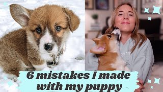 6 mistakes I made with my corgi puppy | what not to do & puppy mistakes to avoid!