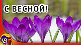 Поздравления & Позитив