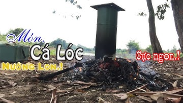 Món Cá Lóc Nướng Lon Cực Ngon Và Thơm | Hương Vị Quê Hương TV | Tập 49