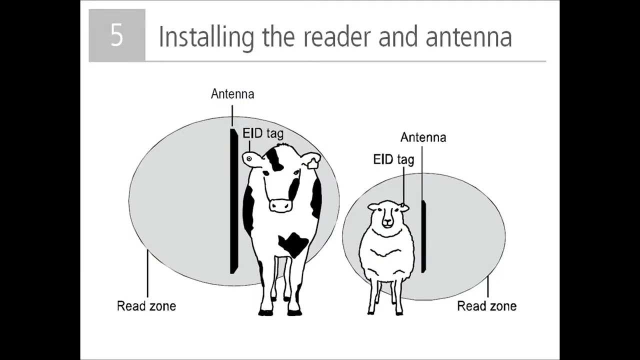 How to get started with your Tru Test XRP2 XRP2i EID Panel Reader