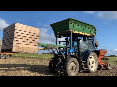 Video: Het Meisje En De Vogelverschrikker. Therapeutisch Verhaal