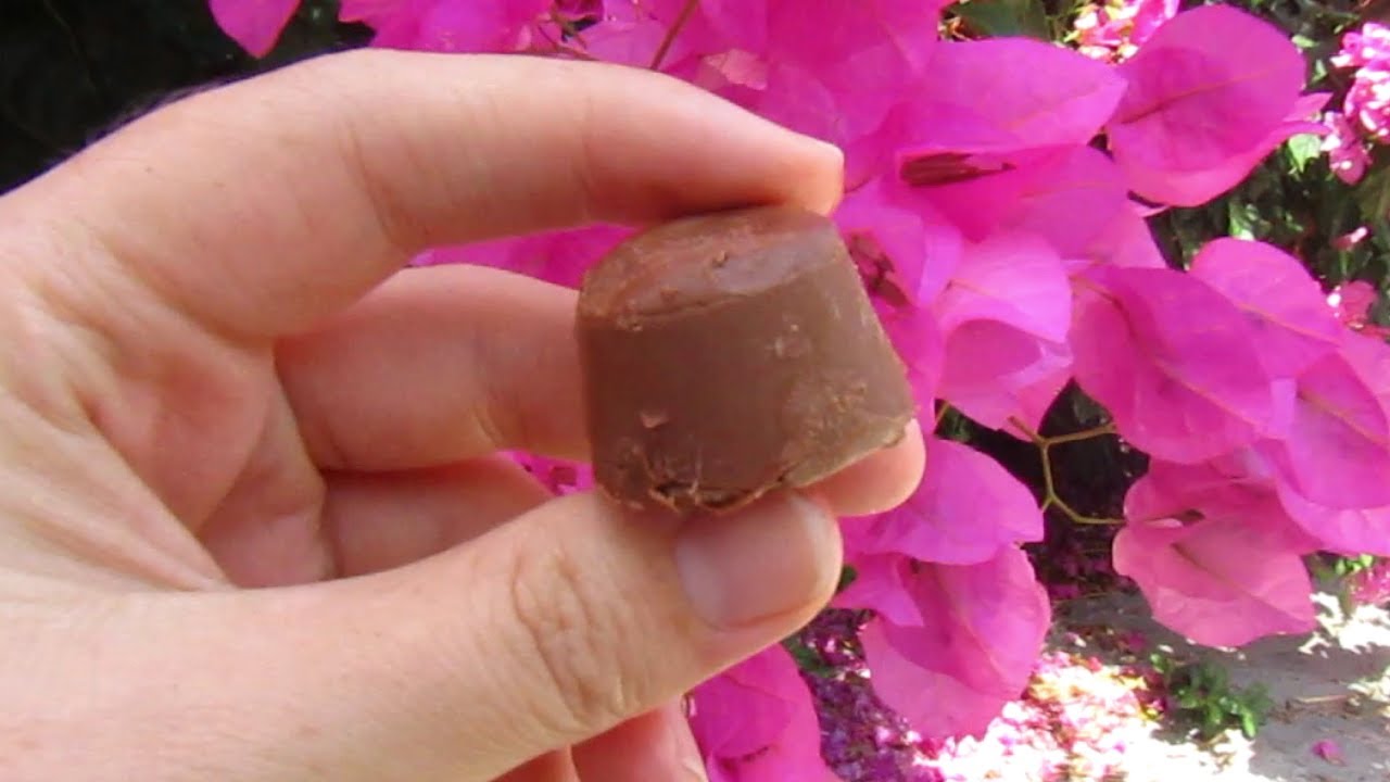 How to make Rolos!!!! (super simple and so yummy!) / Just Anya - YouTube