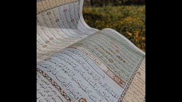 سورة الكهف _ بصوت : محمد الكريني الملوكي