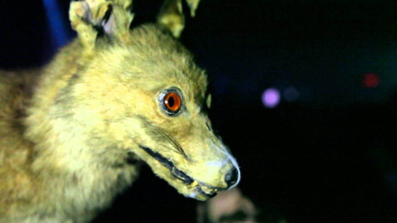 Synopsis Part 12 with Thomas Muller, Greg Brockmann and Sami Daik  at Basing House