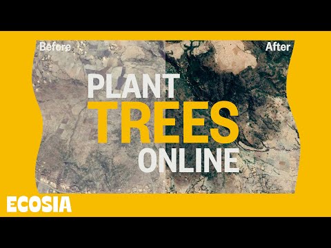 Video: Verkoopt ecosia uw gegevens?