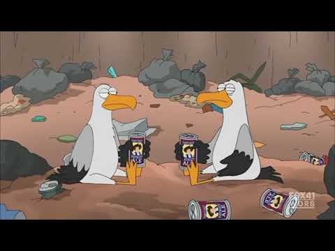 Capa de DarrenZeus is a seagull