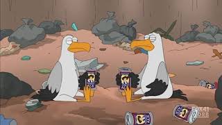 Darrenzeus Is A Seagull