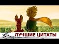 Лучшие мудрые цитаты от Маленького Принца