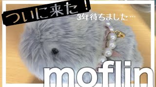 【最先端が家に】Moflin開封【AIロボット型ペット！】