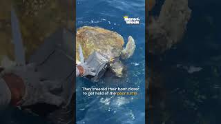 🛥 Kind Fishermen Help Tangled Up Sea Turtle 🐢