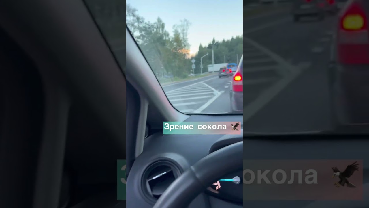 Стендап про авто