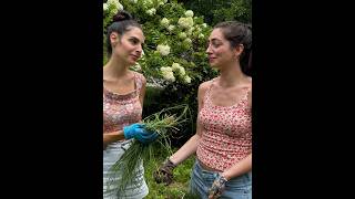 Melissa asks Danielle is Dave happy!