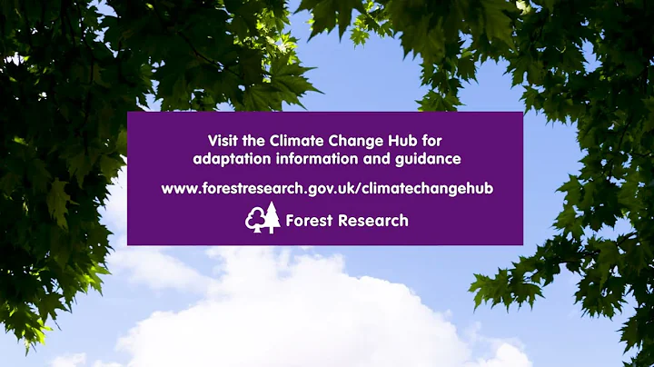 The Climate Change Hub from Forest Research - DayDayNews