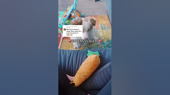 Cuteness Alert