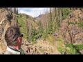 BACKCOUNTRY HIKE to a remote stream full of RARE and NATIVE trout based on a tip from a stranger!