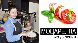 Сыр Моцарелла в домашних условиях Сыр Моцарелла в домашних условиях