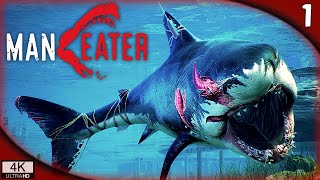 PRIMER CONTACTO | MANEATER Gameplay Español