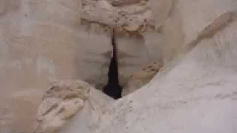 محمد صلاح نافع   سورة الكهف كامله