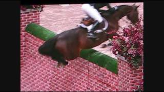 Puissance WIHS - Horse jumps 7 foot wall!