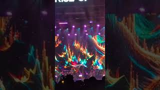 Rebelution teaser from Reggae Rise Up AZ 2025. They put on an epic show, go see them!