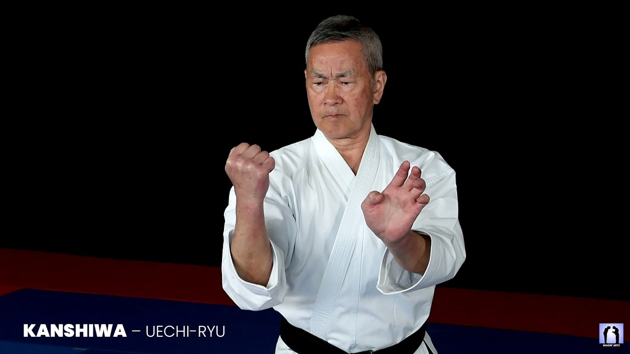 Kanshiwa – Kata Uechi-ryu exécuté par un sensei de 76 ans (3 angles)