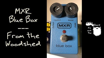 MXR Blue Box Fuzz - From the Woodshed Episode 2