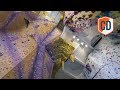 The HIGHEST Climbing Wall In England | Climbing Daily Ep.1424