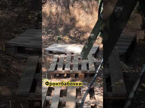 Фронтбабочки