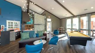 Infinity at Centerville Crossing | Apartments for Rent in Virginia Beach, VA 5616 Infinity Lane Virginia Beach