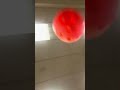 Vertical Pickleball Juggle with paddle while sprinting. Impossible challenge. Paddle POV