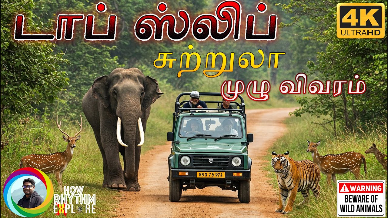 காட்டுயிர் சாகசம் 🐘🦌🌿 Topslip Safari Wild Side of Tamil Nadu 🐘 Anaimalai Tiger Reserve🐯