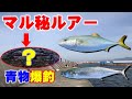 本当は教えたくない！青物爆釣おすすめルアー（ミノー）