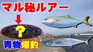 本当は教えたくない!青物爆釣おすすめルアー(ミノー)
