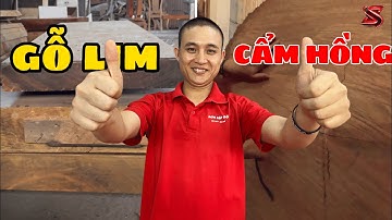 Gỗ Lim  Và Gỗ Cẩm Hồng Nên Sử Dụng Gỗ Nào ?  | Sơn Sập Gỗ