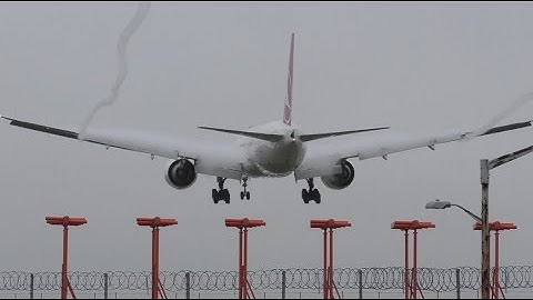 Aircraft wing condensation and vortex