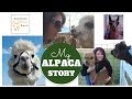 Tashia's Alpaca Story