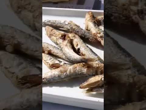 Shorts ما هي فوائد اكل السمك للجسم السمك فوائد السمك فوائد اكل السمك فوائد السمك للرجال اكل 