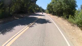 Castro Valley Cbr 06