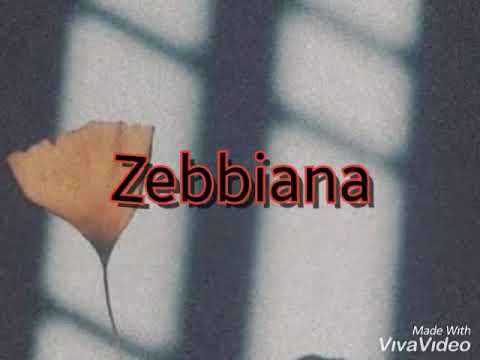 Zebiana with lyrics by skusta clee