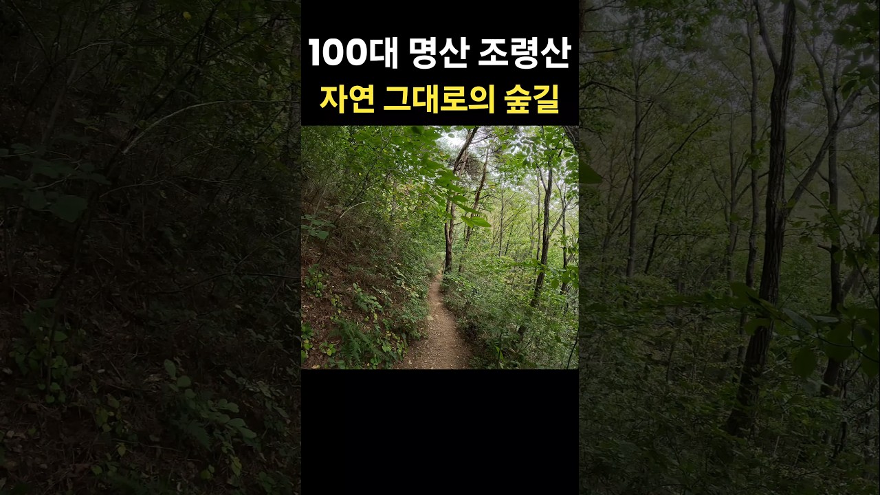 자연 그대로의 숲길 🌳 조령산 ⛰️