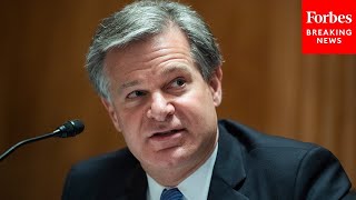 GOP Senator Asks FBI Director Chris Wray About The Danger Of Fentanyl In The United States