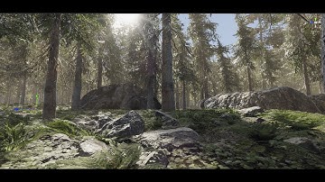 Beautiful Tree and Foliage Wind Shader [Unity HDRP]