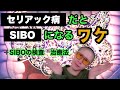 セリアック病だとSIBOを合併しやすい理由についてセリアック病患者が解説します。SIBOの検査　治療法についても説明！