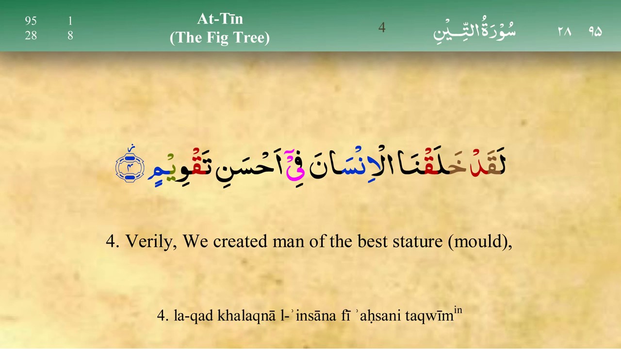 Mashary Rashed al fasy full quran