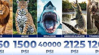 Animal Bite Strength Comparison
