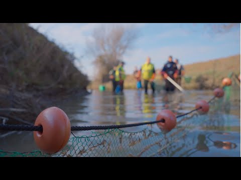 Le Vistre - Episode 5/8 : Le principe de revitalisation : Vers le retour des poissons