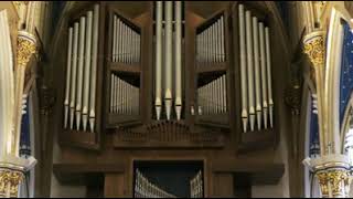 Holtkamp Organ Company | Wikipedia audio article
