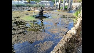 TG SUD - “DEGRADO E ABBANDONO” - 13 05 2025